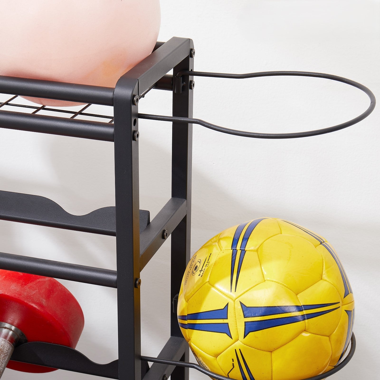 Equip Storage Rack Dumbbell Rack Multi-use Storage Rack