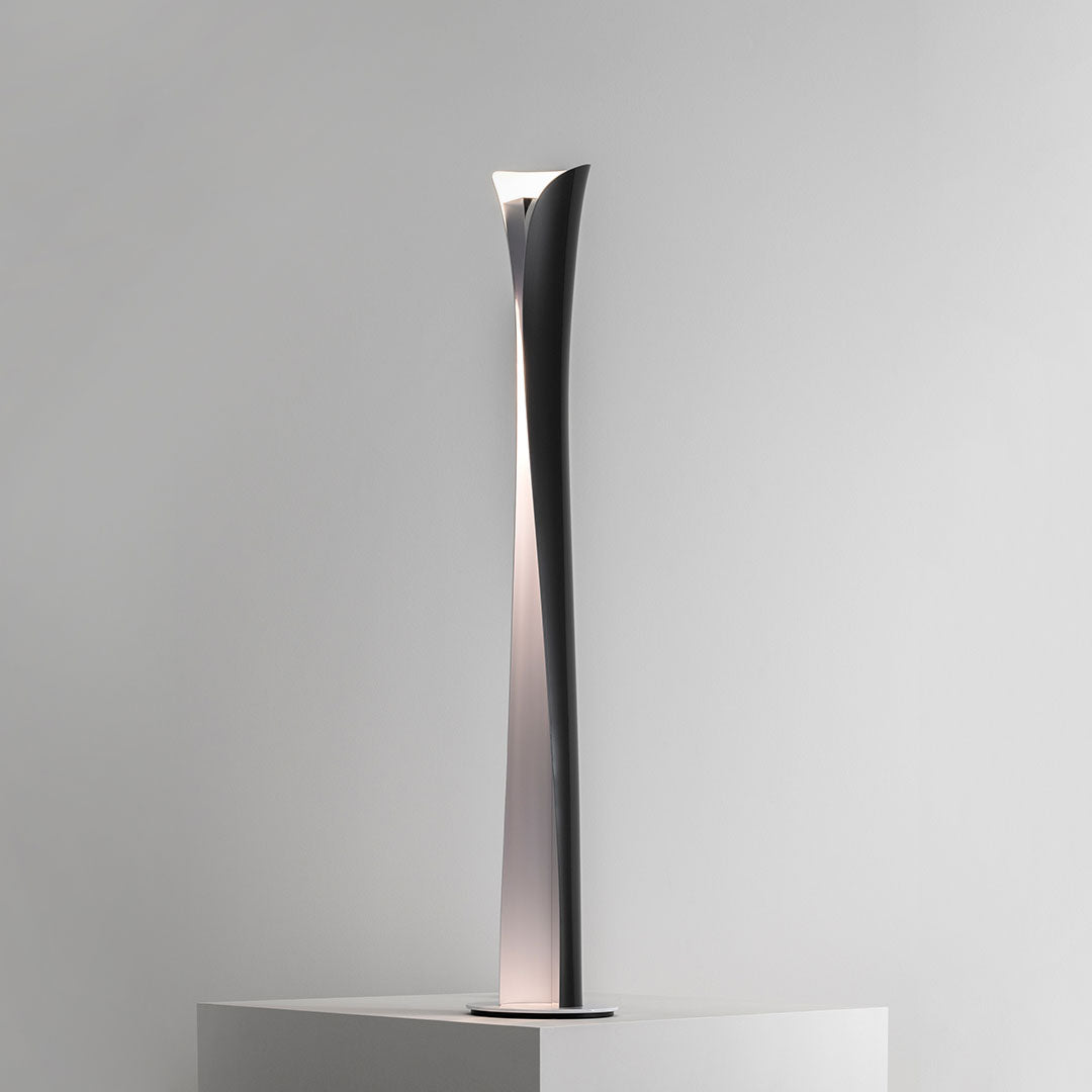 Cadmo LED Floor Lamp | Sculptural Indirect & Direct Light | Airayvis