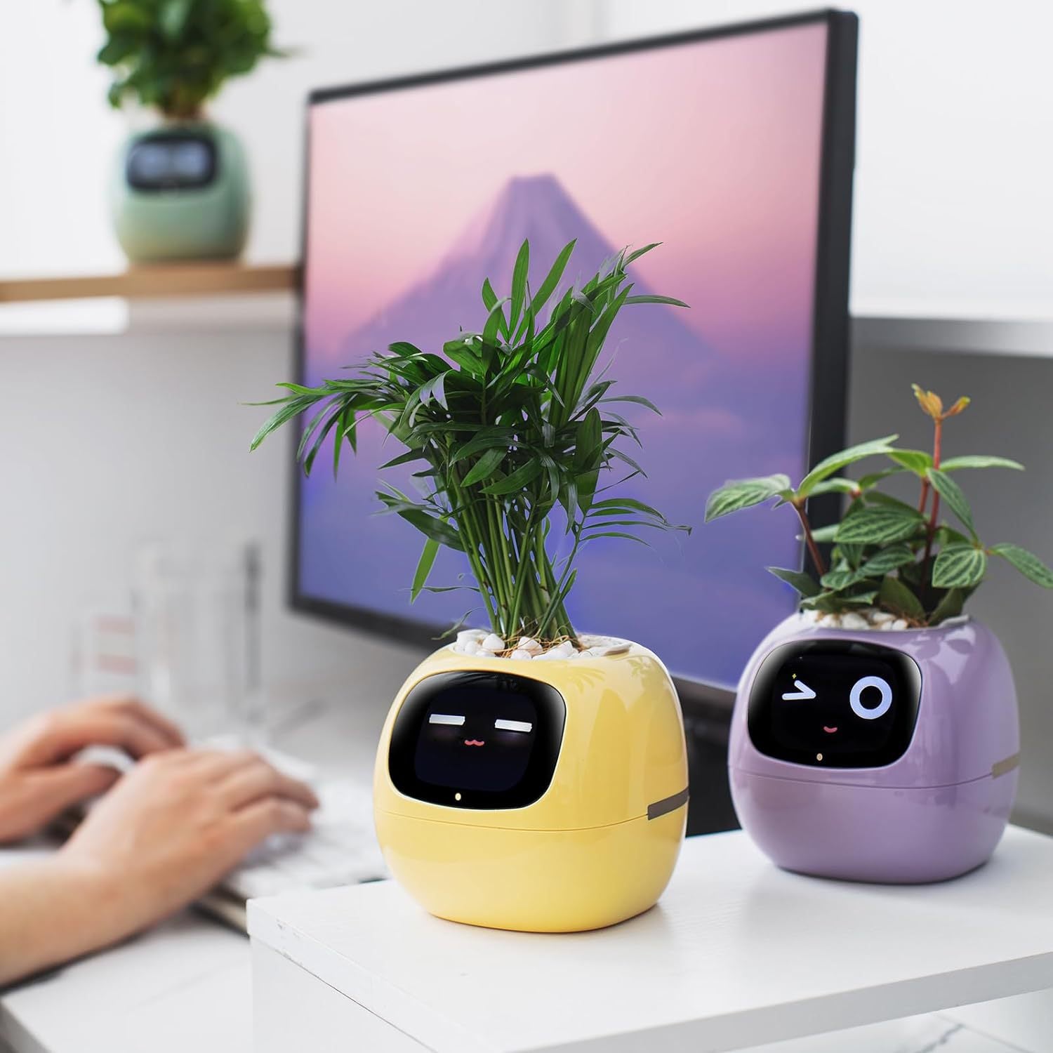 Smart Pet Planter Robot Guidance on Plant Care with Emojis, Adorable Plant Companion with Rich Gesture Interaction