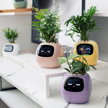 Smart Pet Planter Robot Guidance on Plant Care with Emojis, Adorable Plant Companion with Rich Gesture Interaction