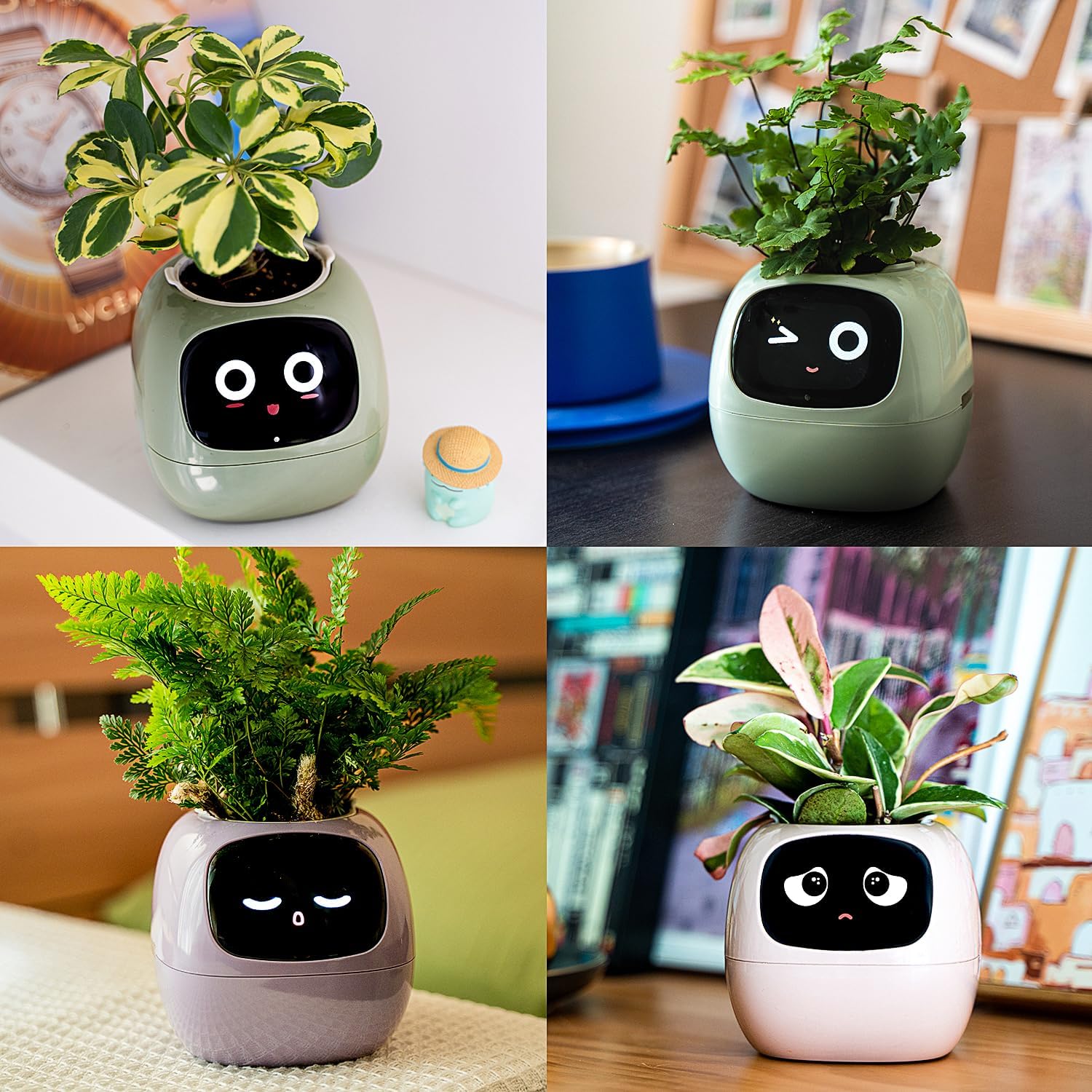 Smart Pet Planter Robot Guidance on Plant Care with Emojis, Adorable Plant Companion with Rich Gesture Interaction