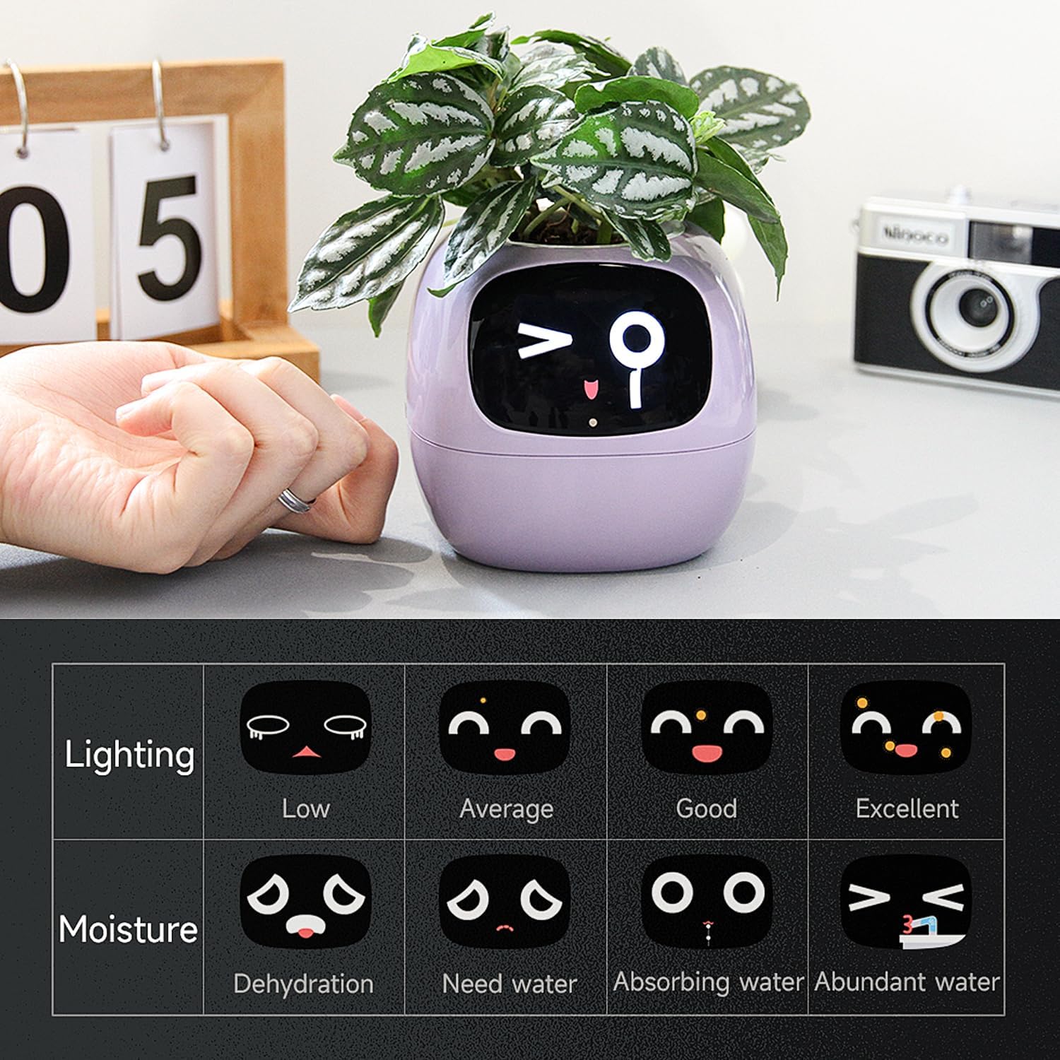 Smart Pet Planter Robot Guidance on Plant Care with Emojis, Adorable Plant Companion with Rich Gesture Interaction