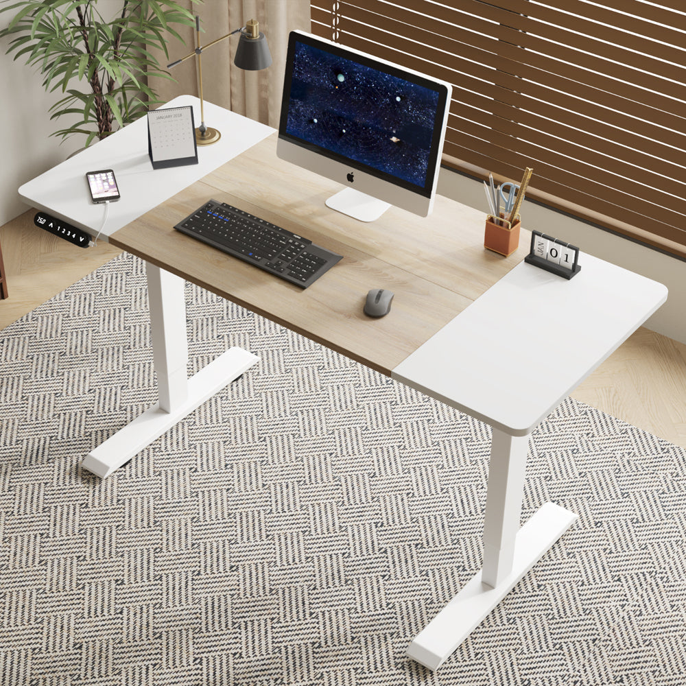 55″ Electric Standing Desk Height Adjustable Sit-Stand Table for Home Office & Gaming