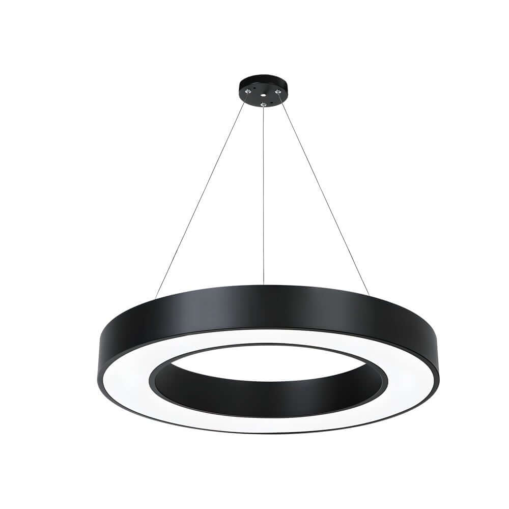 LED Pendant Ring Ceiling Light Modern Metal Acrylic Light - product image 14