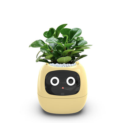 Smart Pet Planter Robot Guidance on Plant Care with Emojis, Adorable Plant Companion with Rich Gesture Interaction