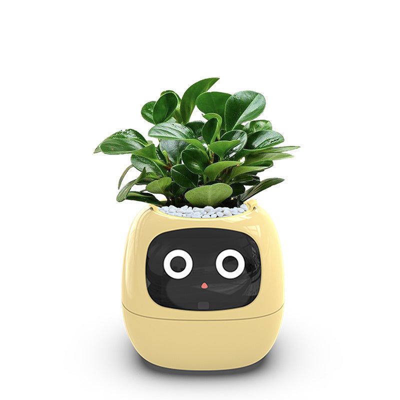 Smart Pet Planter Robot Guidance on Plant Care with Emojis, Adorable Plant Companion with Rich Gesture Interaction