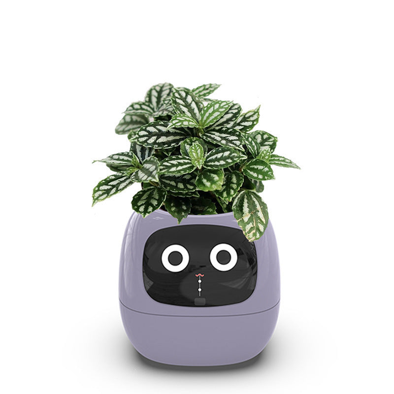 Smart Pet Planter Robot Guidance on Plant Care with Emojis, Adorable Plant Companion with Rich Gesture Interaction