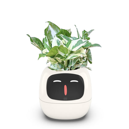 Smart Pet Planter Robot Guidance on Plant Care with Emojis, Adorable Plant Companion with Rich Gesture Interaction