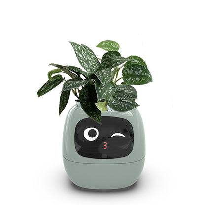 Smart Pet Planter Robot Guidance on Plant Care with Emojis, Adorable Plant Companion with Rich Gesture Interaction
